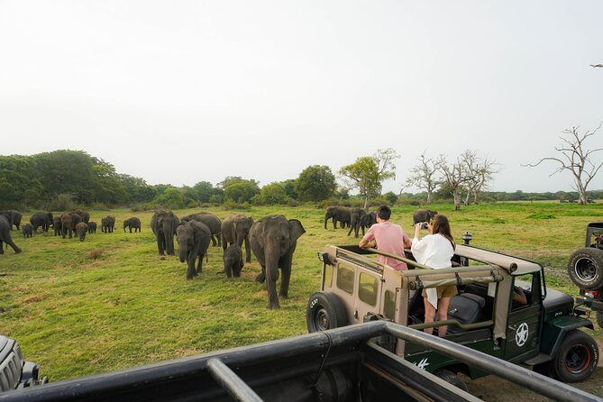 Wilpattu National Park Safari